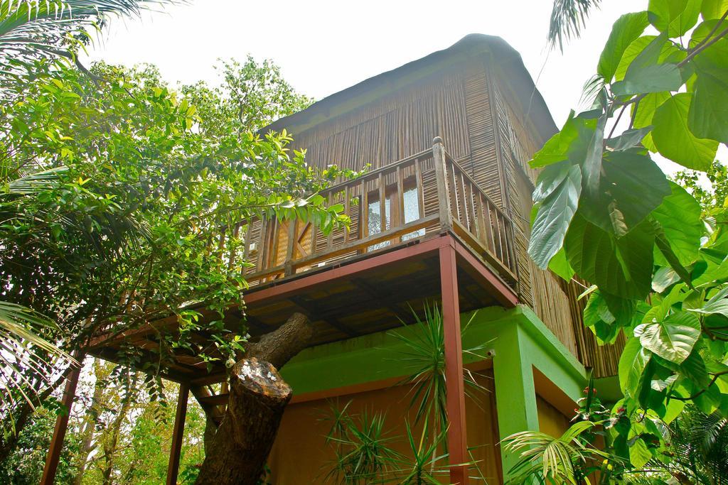 Bed and Breakfast Michele'S Garden Anjuna Pokój zdjęcie