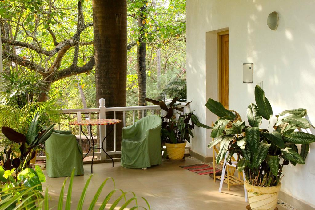 Bed and Breakfast Michele'S Garden Anjuna Pokój zdjęcie